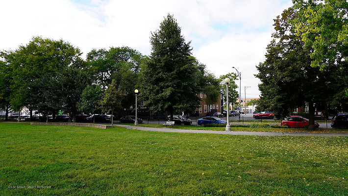 Pilsen Parks 30