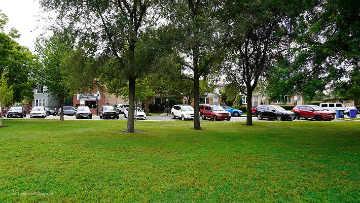 Pilsen Parks 60