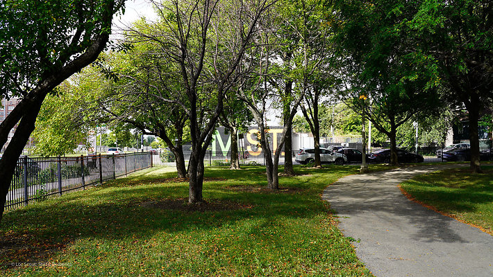Pilsen Parks 42