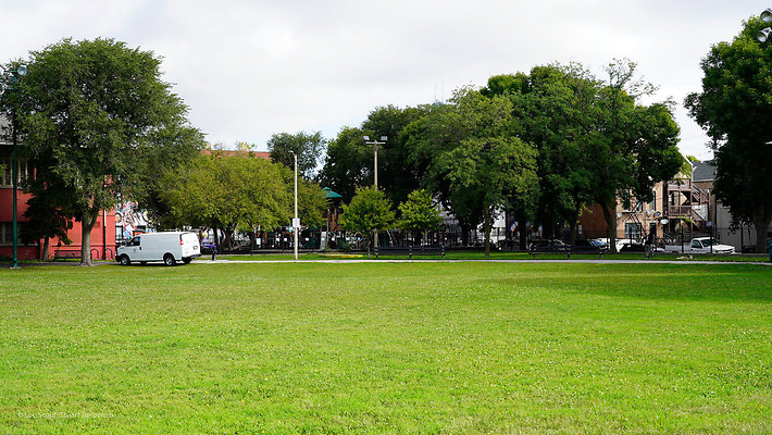 Pilsen Parks 10