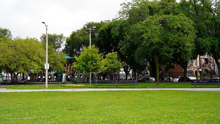 Pilsen Parks 15