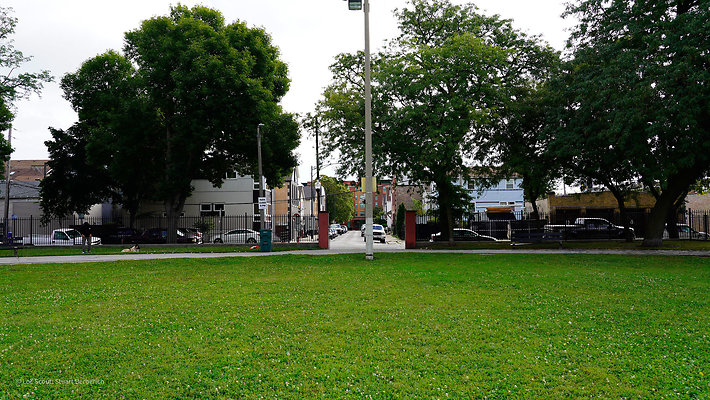 Pilsen Parks 14