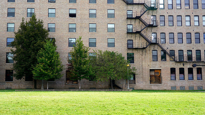 Pilsen Parks 47