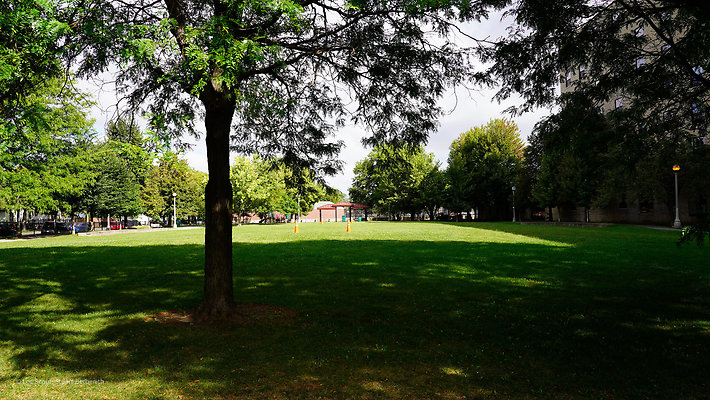 Pilsen Parks 43