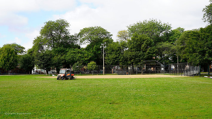 Pilsen Parks 19
