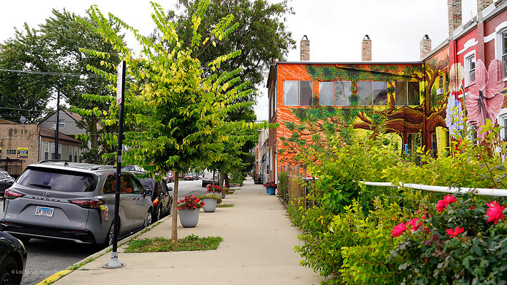 Pilsen Parks 73