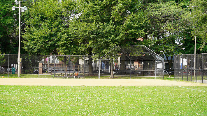 Pilsen Parks 18