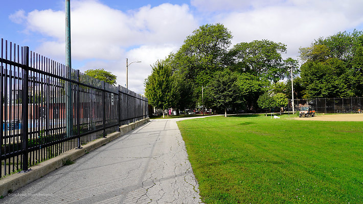 Pilsen Parks 7