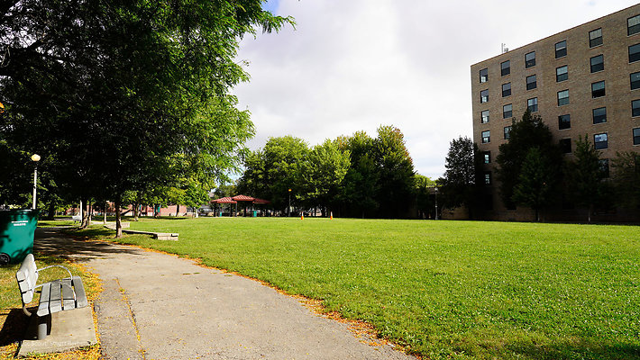 Pilsen Parks 45