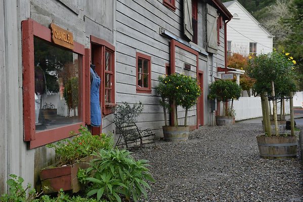 DSC 2743