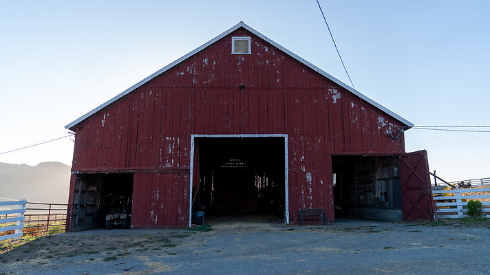 DSC08675