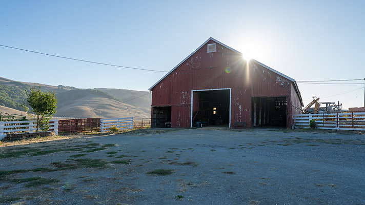DSC08654