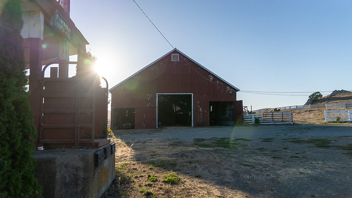DSC08674
