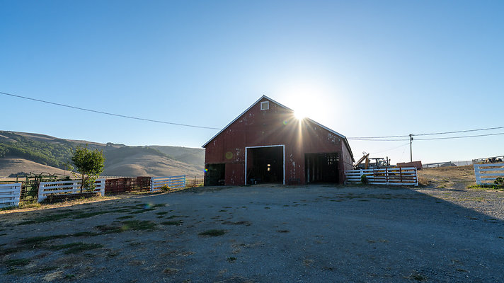 DSC08655