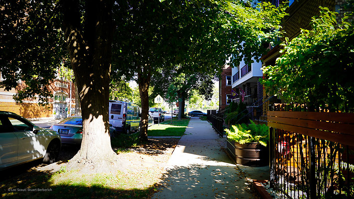 2229 N Hoyne Ave 30