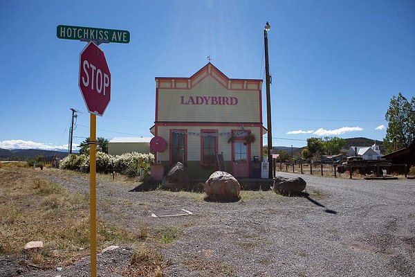ladybird cafe