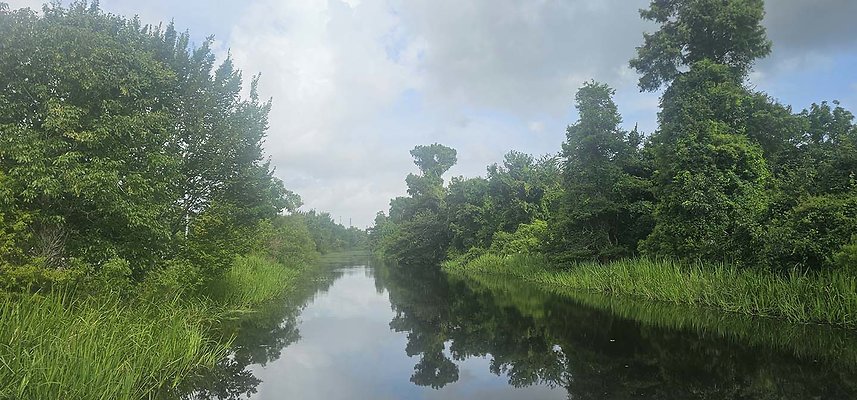sarpy swamp