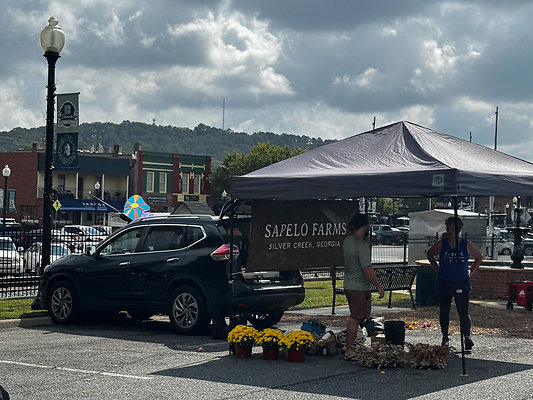 Cartersville -24
