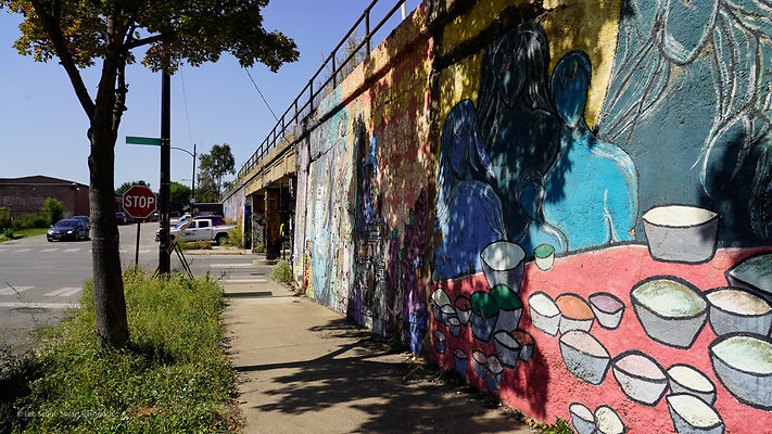 Additional Pilsen Residential 13