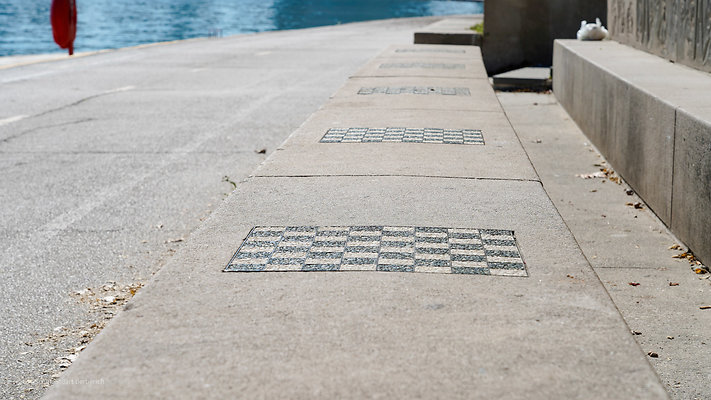 Chess Pavillion 14