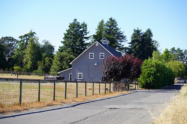 queenslanepetaluma - 4