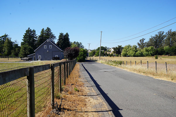 queenslanepetaluma - 7