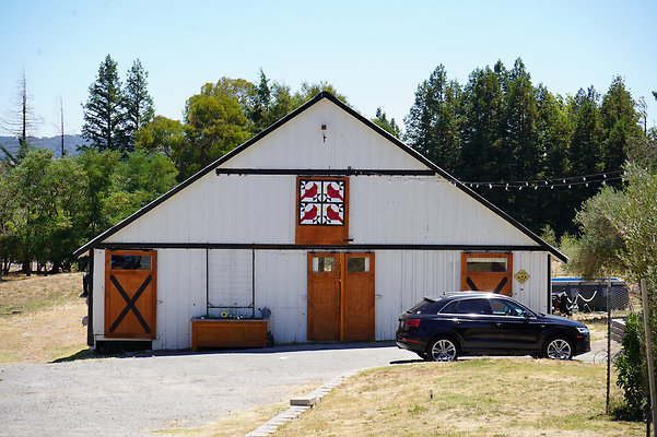 magnolia2westpetaluma - 7 magnolia2westpetaluma - 7