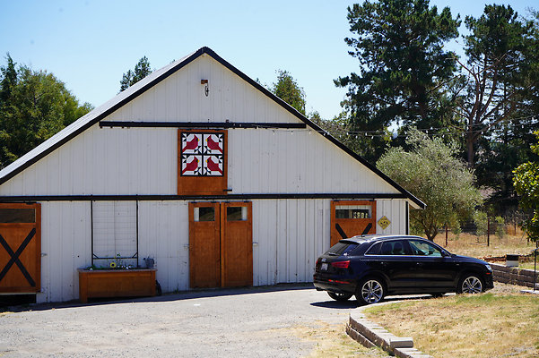 magnolia2westpetaluma - 10 magnolia2westpetaluma - 10