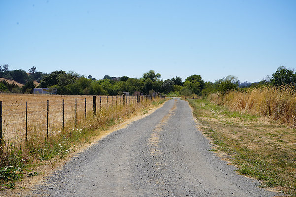 Gravenstein residence Cotati