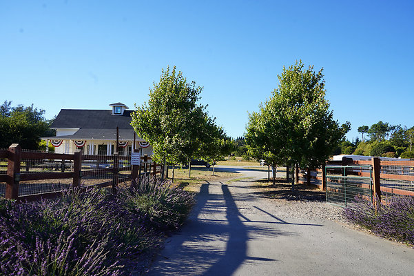 Homestead - West Petaluma