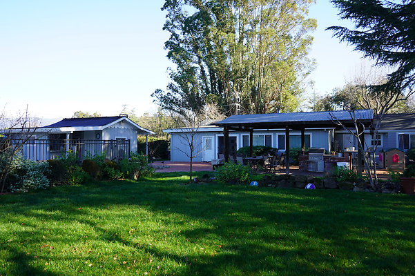 olivesonoma - 43 olivesonoma - 43
