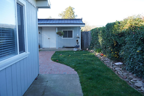 olivesonoma - 45 olivesonoma - 45