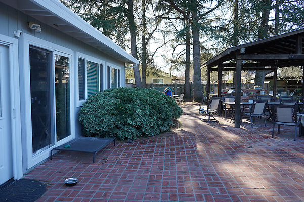 olivesonoma - 46 olivesonoma - 46