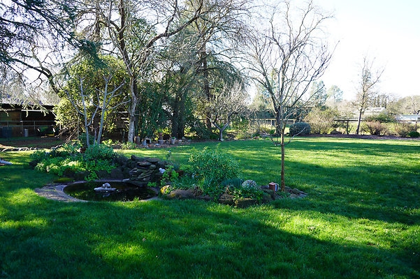 olivesonoma - 44 olivesonoma - 44