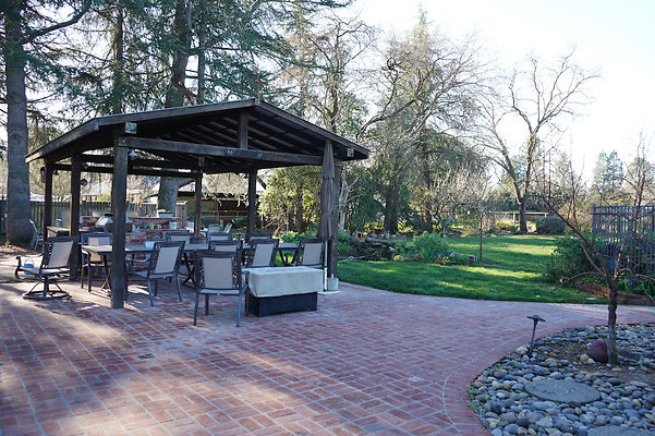 olivesonoma - 47 olivesonoma - 47