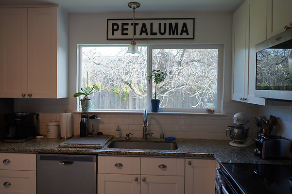 mcgregorpetaluma - 19 mcgregorpetaluma - 19