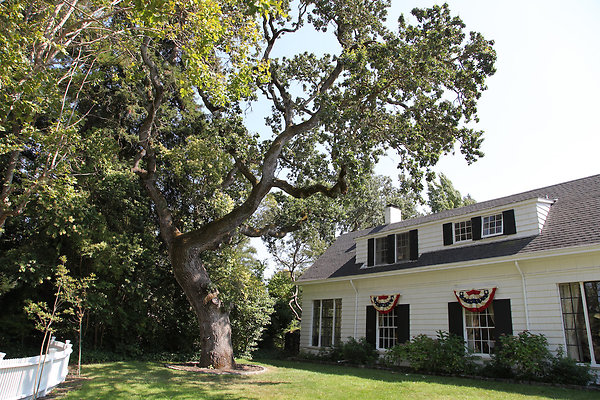brownpetaluma - 4 brownpetaluma - 4