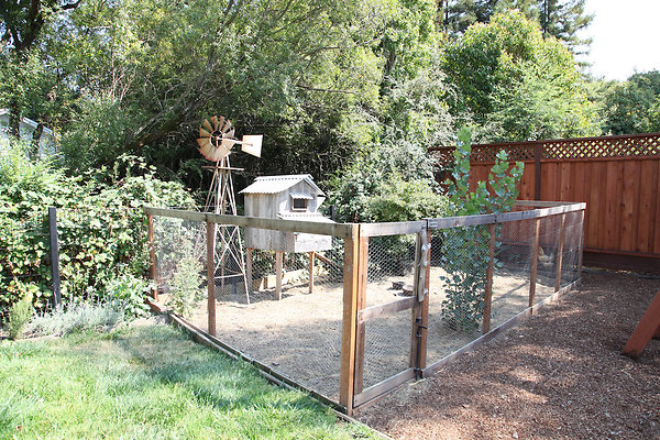 brownpetaluma - 23 brownpetaluma - 23