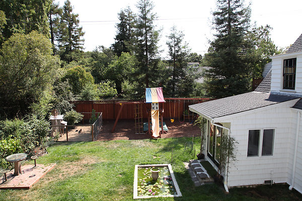 brownpetaluma - 20 brownpetaluma - 20