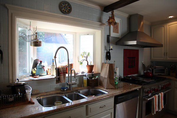 brownpetaluma - 11 brownpetaluma - 11