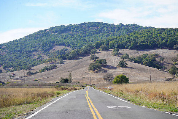 gnossfieldnovato - 2 gnossfieldnovato - 2