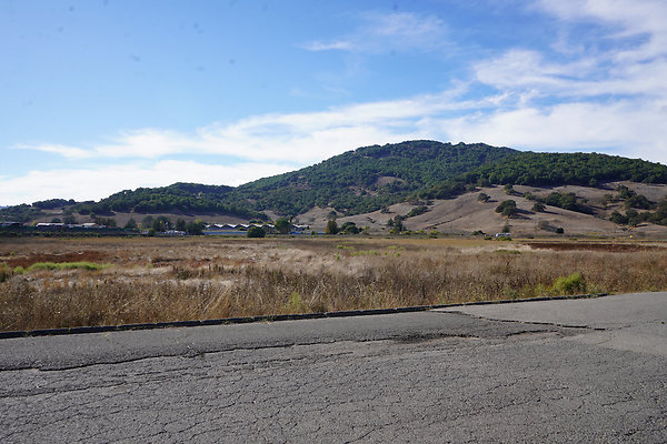 gnossfieldnovato - 17 gnossfieldnovato - 17