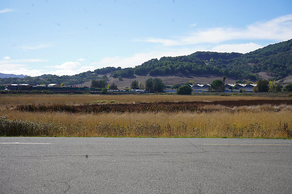 gnossfieldnovato - 3 gnossfieldnovato - 3