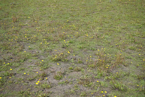 solanofairvallejo - 16 solanofairvallejo - 16