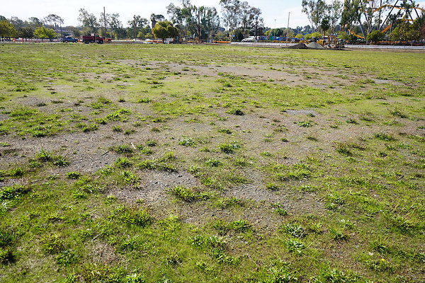 solanofairvallejo - 15 solanofairvallejo - 15
