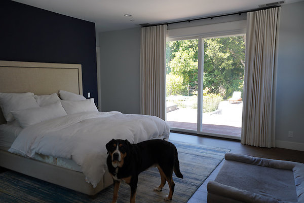 vantasselsleepyhollow - 15 vantasselsleepyhollow - 15