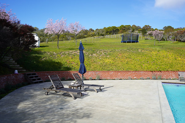 pheasantsanrafael - 73 pheasantsanrafael - 73