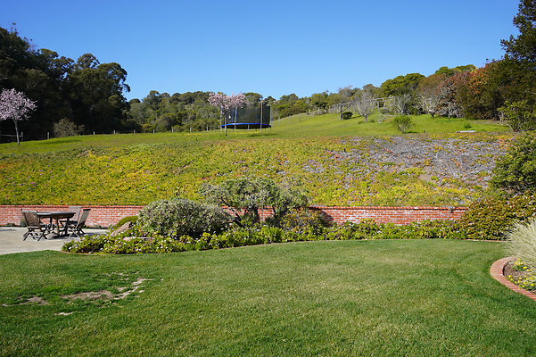 pheasantsanrafael - 80 pheasantsanrafael - 80