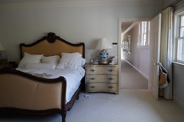 pheasantsanrafael - 33 pheasantsanrafael - 33