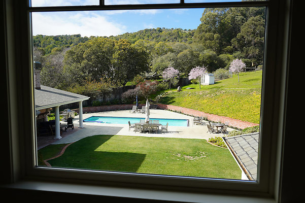 pheasantsanrafael - 61 pheasantsanrafael - 61